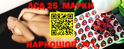 гидра Рязань