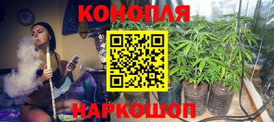 гидра Рязань