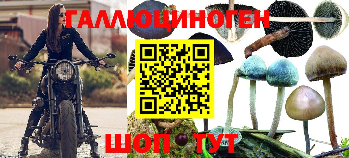 Галлюциногенные грибы GOLDEN TEACHER  Вход с VPN  Свободный 